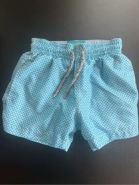 Michaels Aqua Blue Wave-Print Swim Shorts